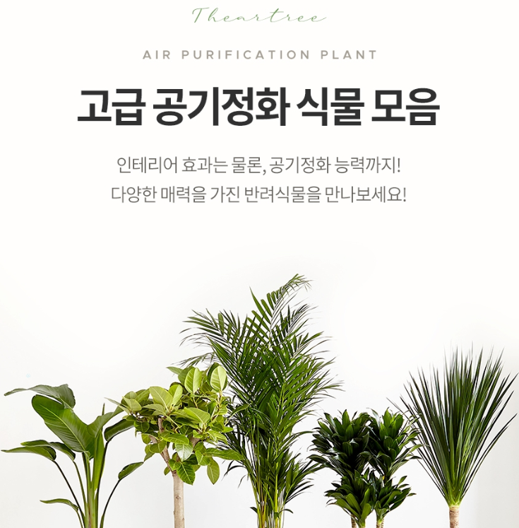 2024-12-16 20 27 28.png