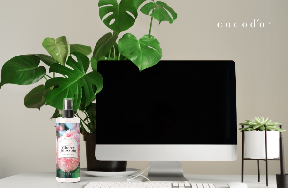 2024-02-05 20 41 45.png