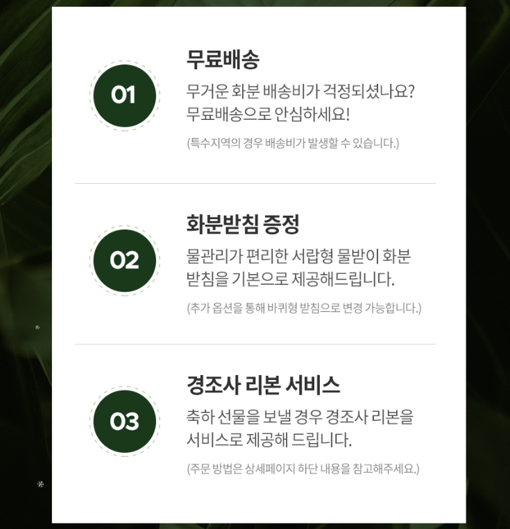 2024-12-16 20 27 11.png