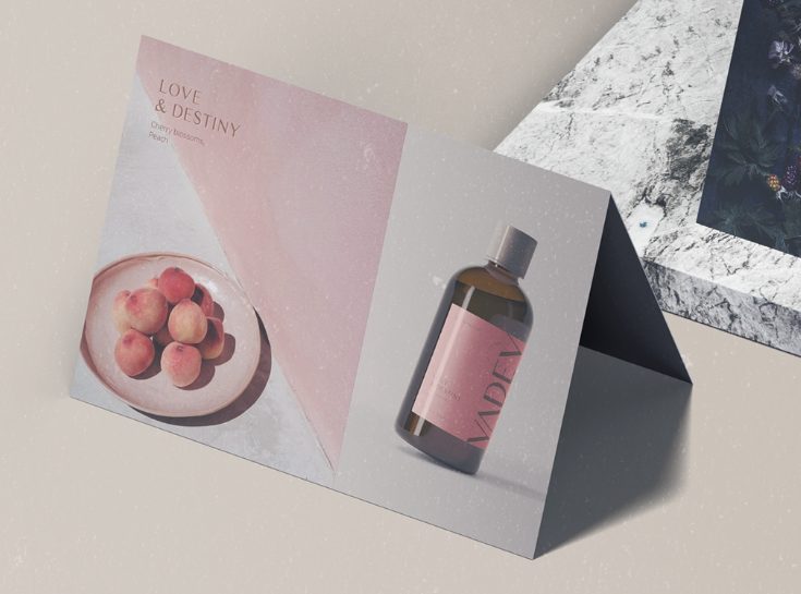 2024-12-12 18 54 20.png