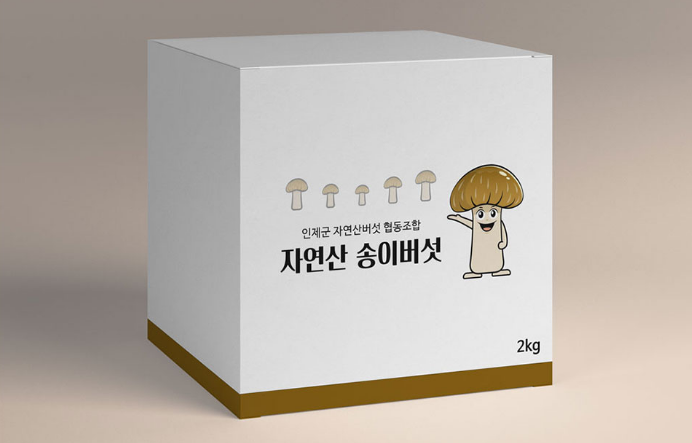 2025-05-24 17 29 31.png