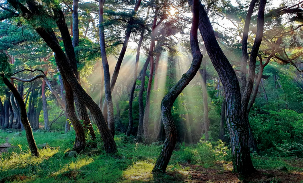 2024-06-04 08 26 16.png