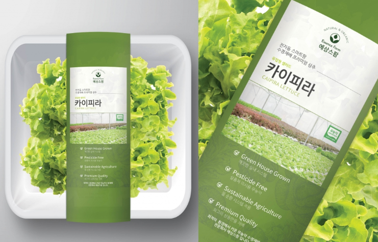 2025-02-19 18 17 01.png