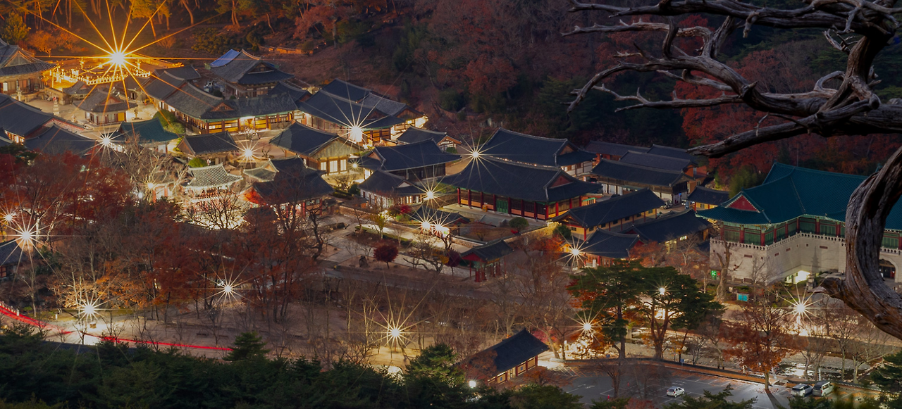 2024-08-30 08 25 16.png