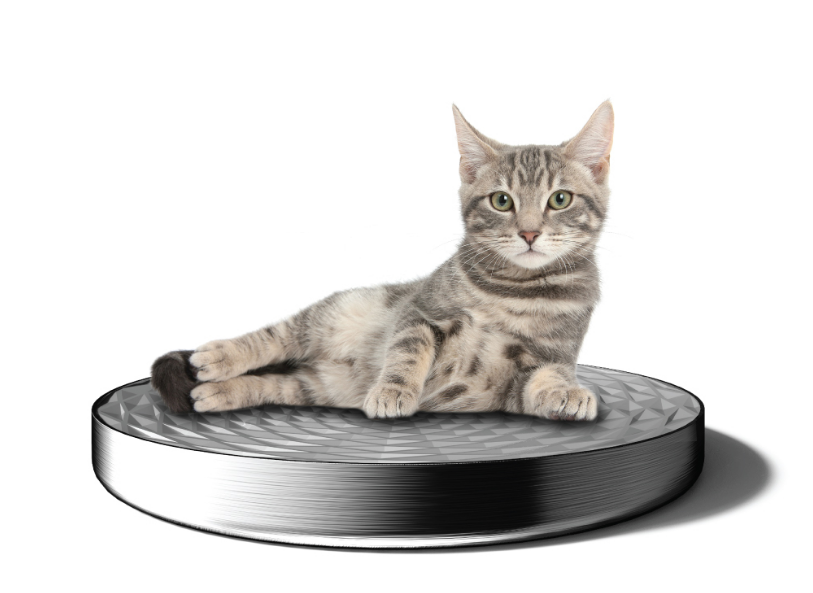 2024-05-17 08 34 28.png