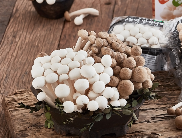 2025-04-23 22 36 24.png