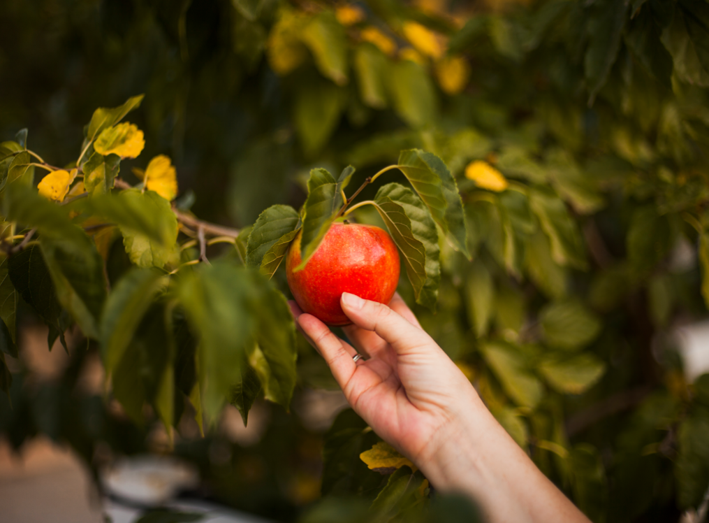 2023-11-09 00 00 25.png