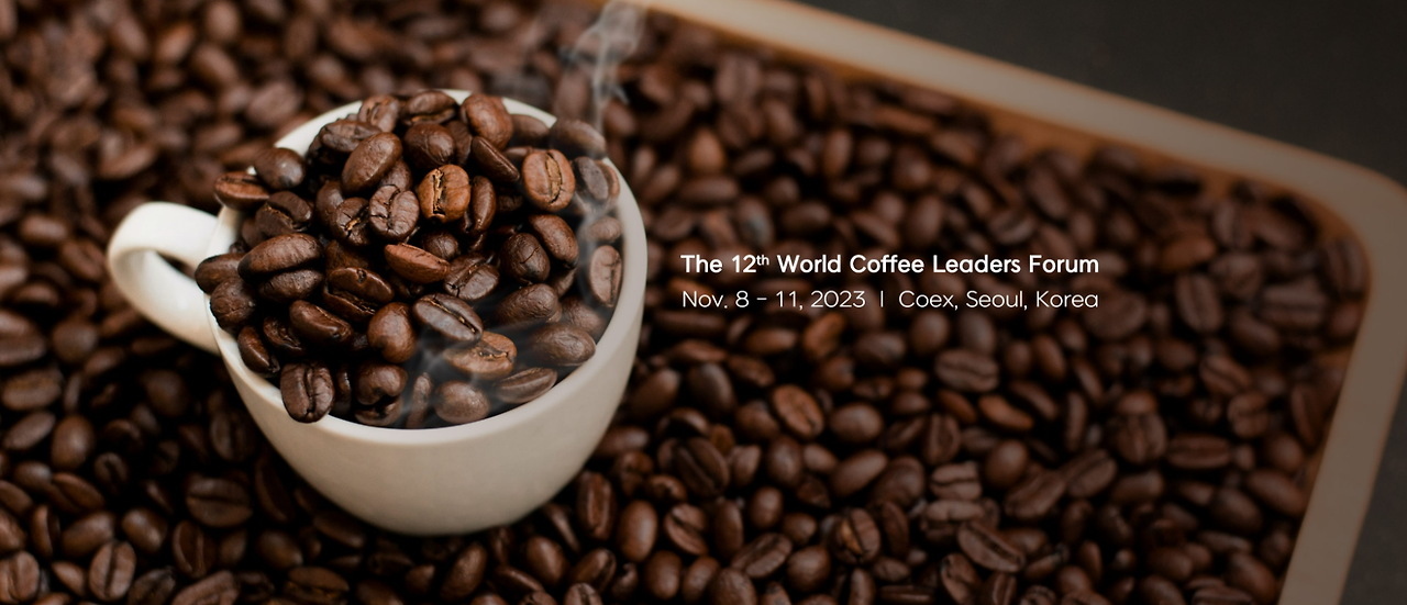 2023-10-20 08 28 02.png