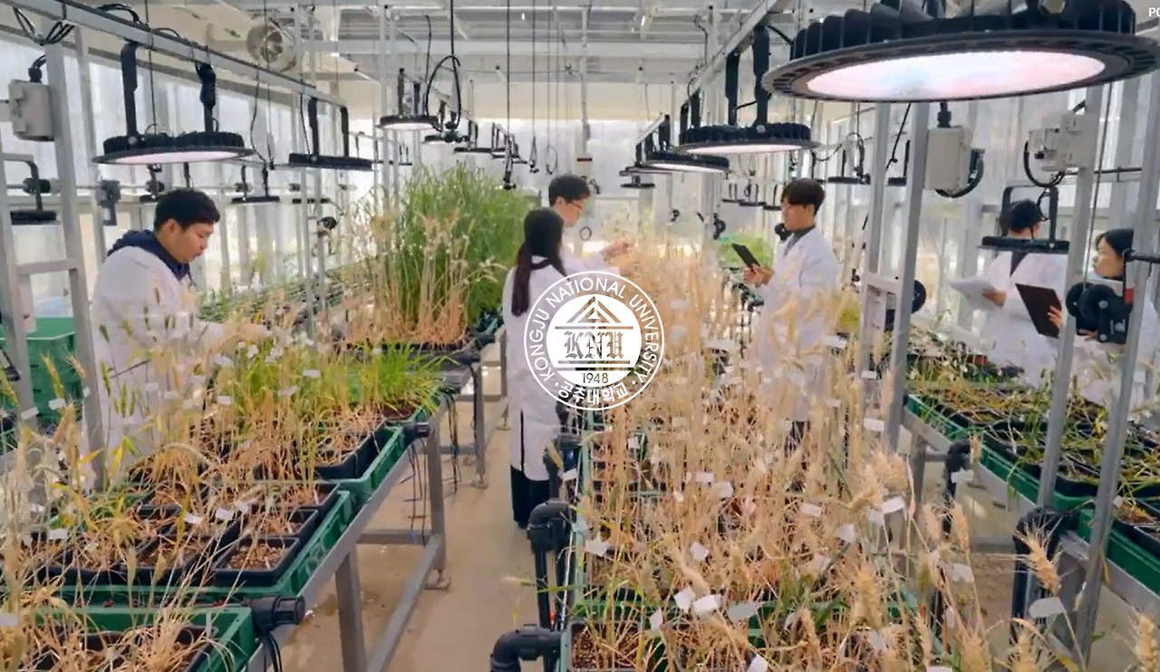 2023-10-18 08 06 20.png