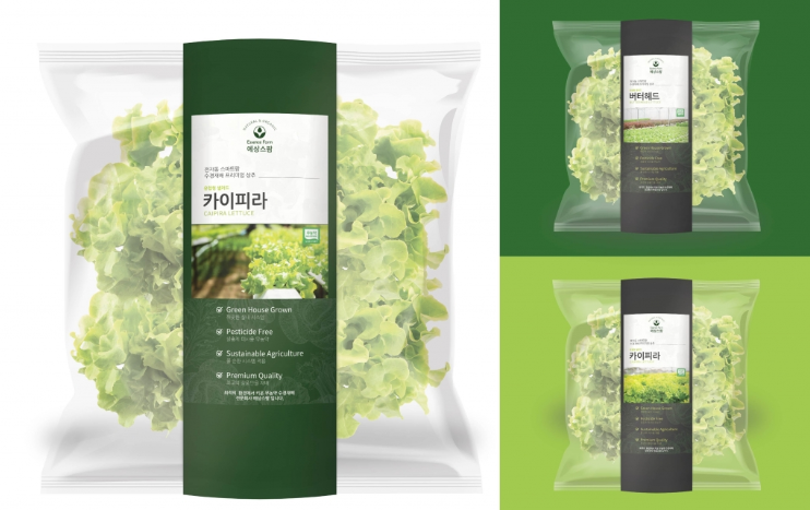 2025-02-19 18 17 13.png