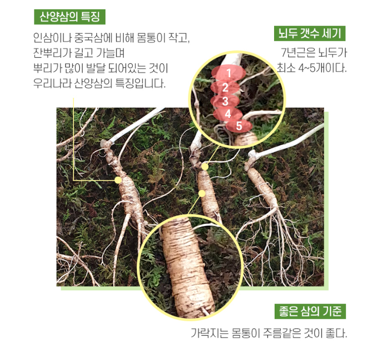 2025-04-15 23 48 31.png