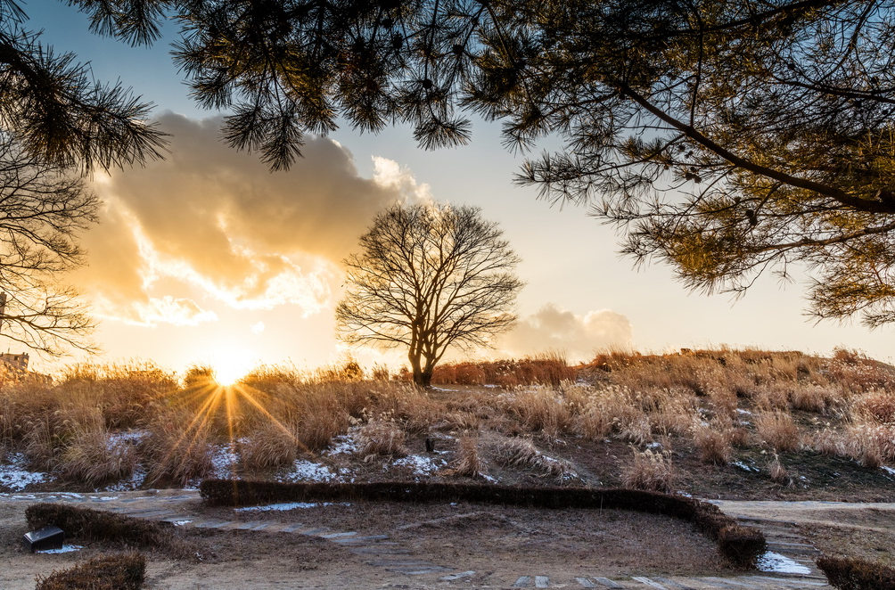 디자인공모전_가야고분군 세계유산등재추진단_1.png