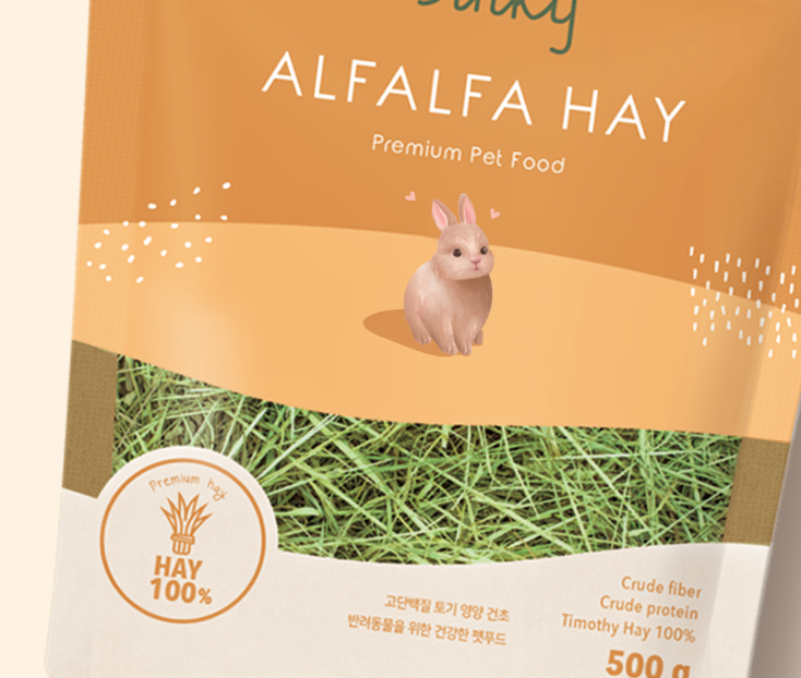 2024-12-20 21 24 23.png