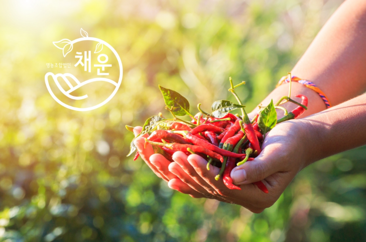 2024-09-25 21 03 30.png