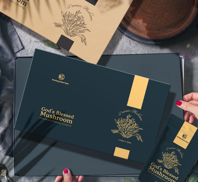 2023-12-13 20 33 47.png