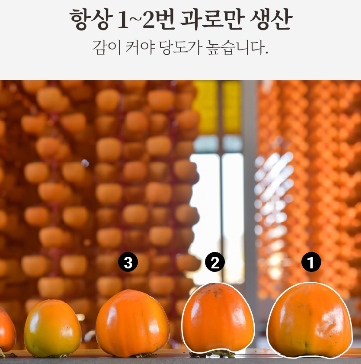 2024-10-28 00 10 15.png