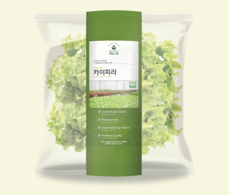 2025-02-19 18 17 28.png