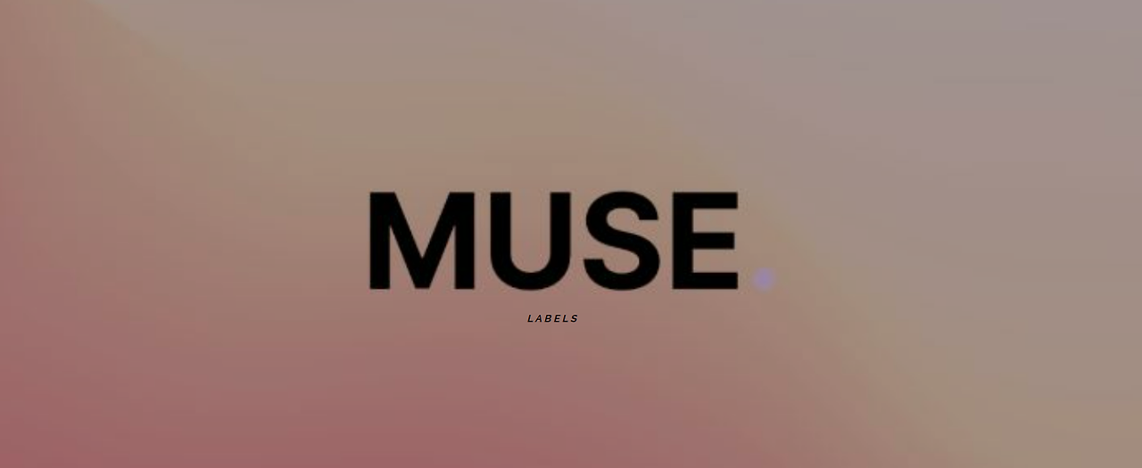 2025-01-08 12 04 56.png