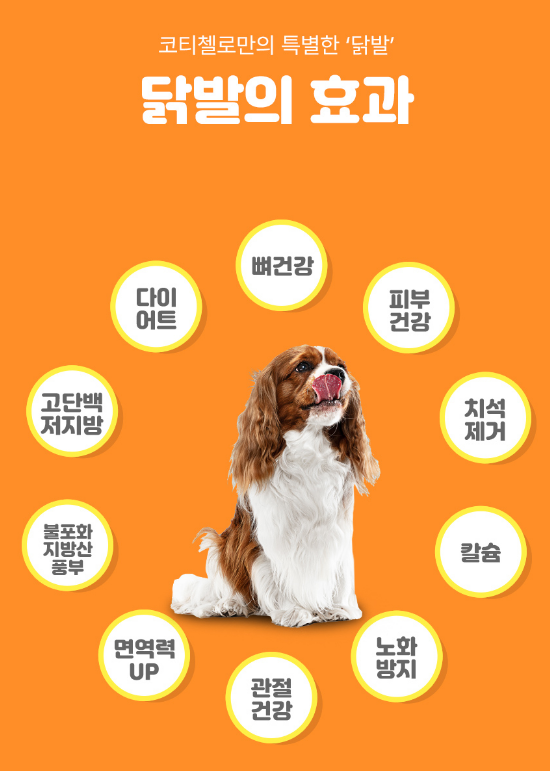 2024-05-08 10 01 33.png