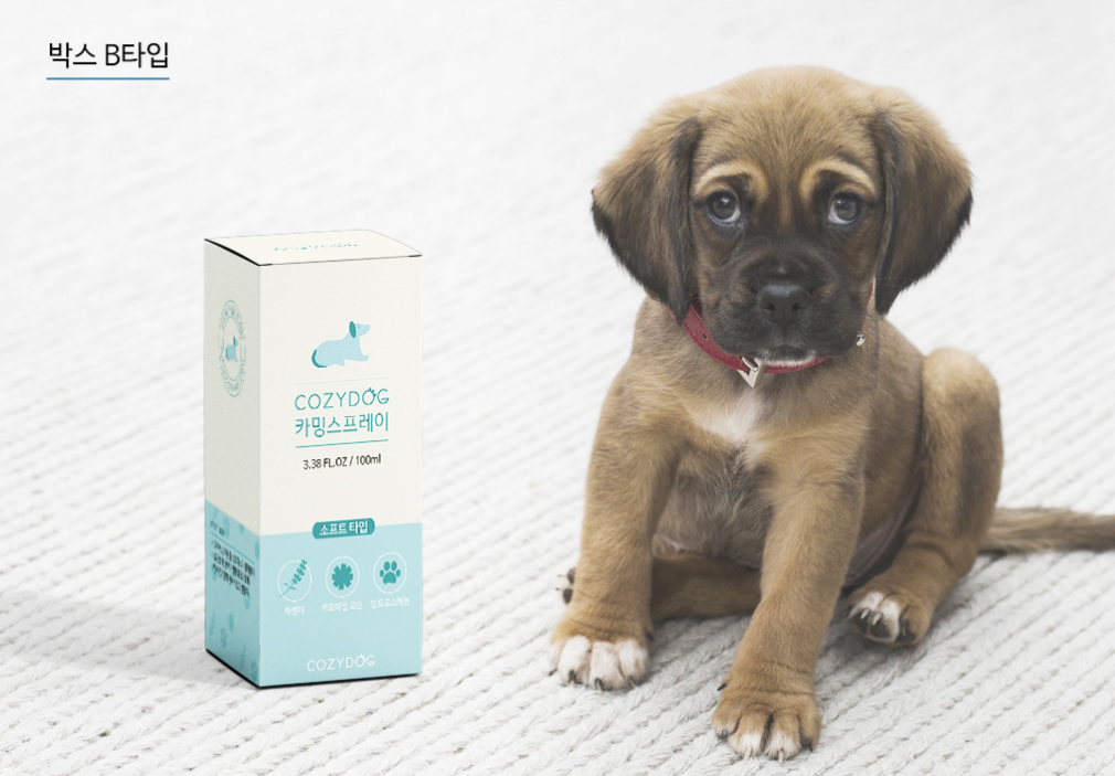 2023-09-26 21 28 25.png