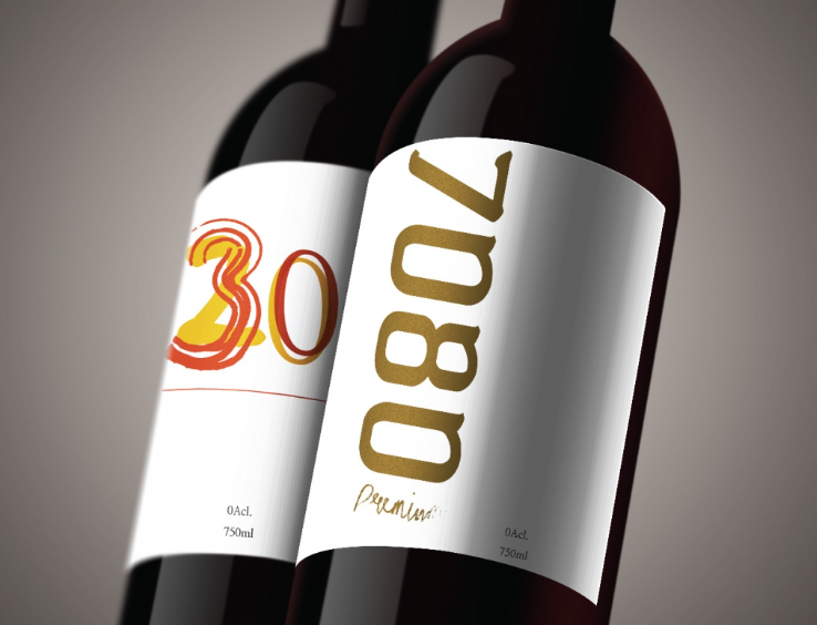 2025-02-21 20 28 20.png