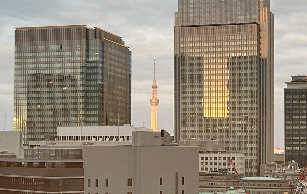 스크린샷 2024-11-20 오후 10.43.21.png