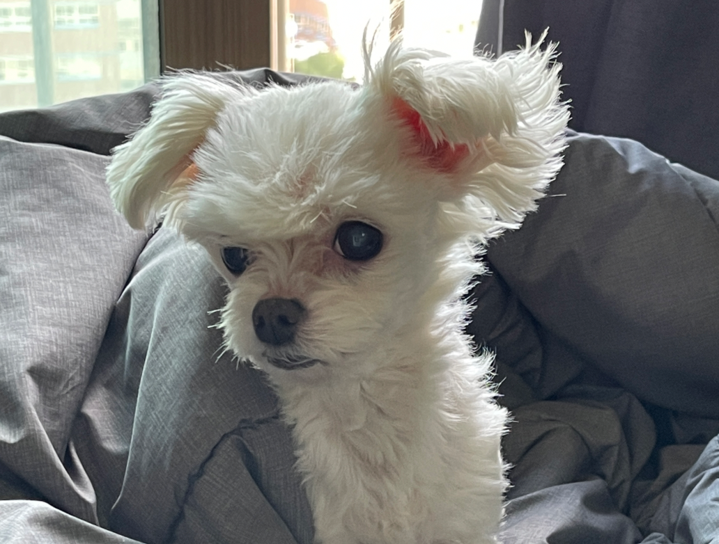 스크린샷 2025-11-10 오후 2.12.04.png