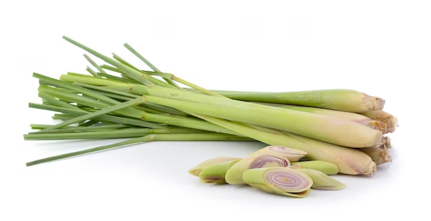 스크린샷 2023-12-04 075811.png