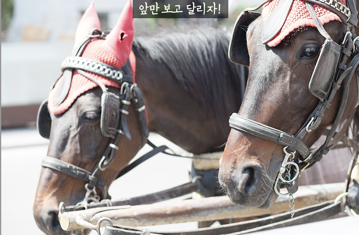 스크린샷 2022-10-22 오후 8.36.03.png