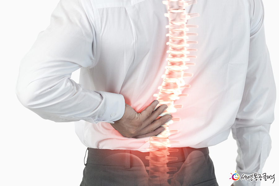 퇴행성디스크1.png