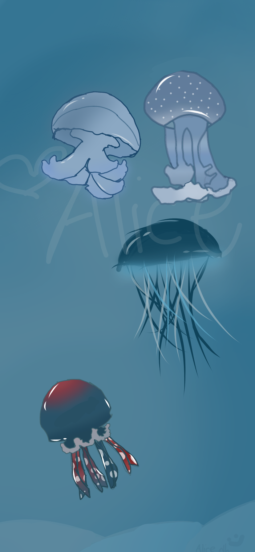 Jelly Fish.png