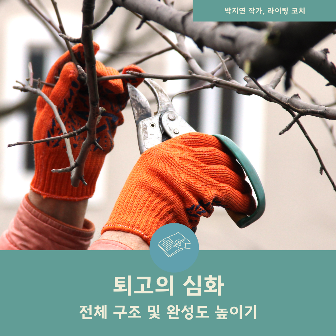 Teal and Beige Quote World Press Freedom Day Social Media Post (36).png