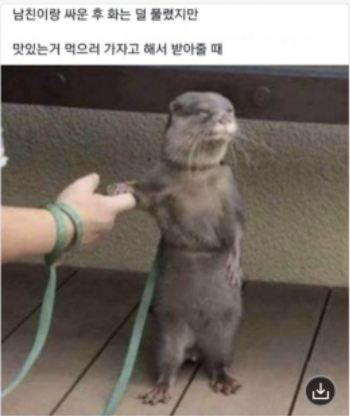 스크린샷 2019-11-04 오후 10.02.29.png