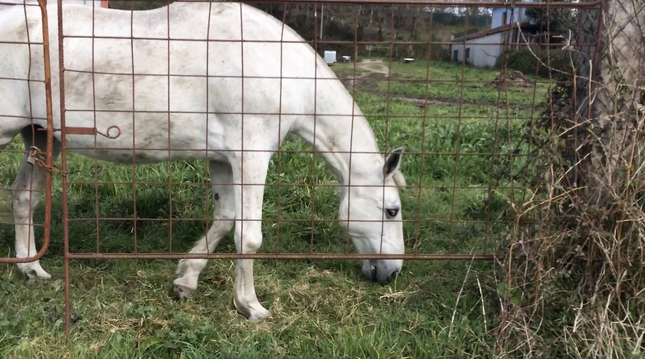 스크린샷 2022-06-20 오후 4.02.18.png