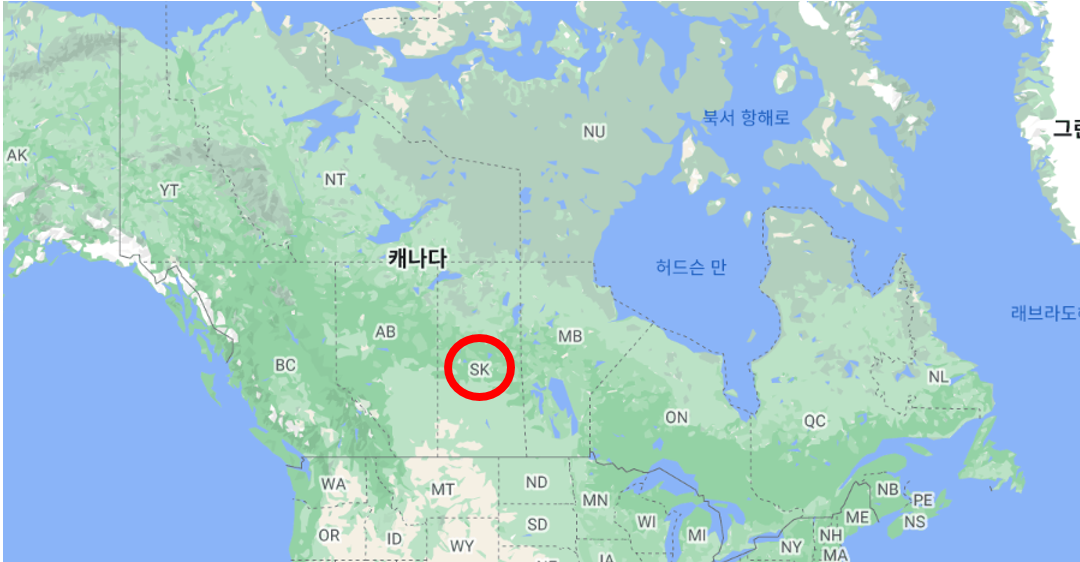 화면 캡처 2022-06-28 062502.png