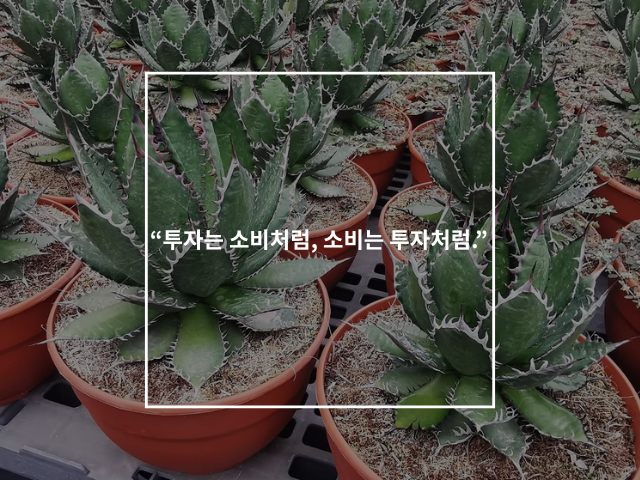 店長小説挿し絵用 (7).png