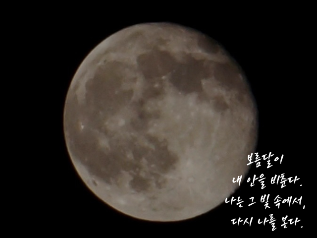 店長小説挿入写真（横） (9).png