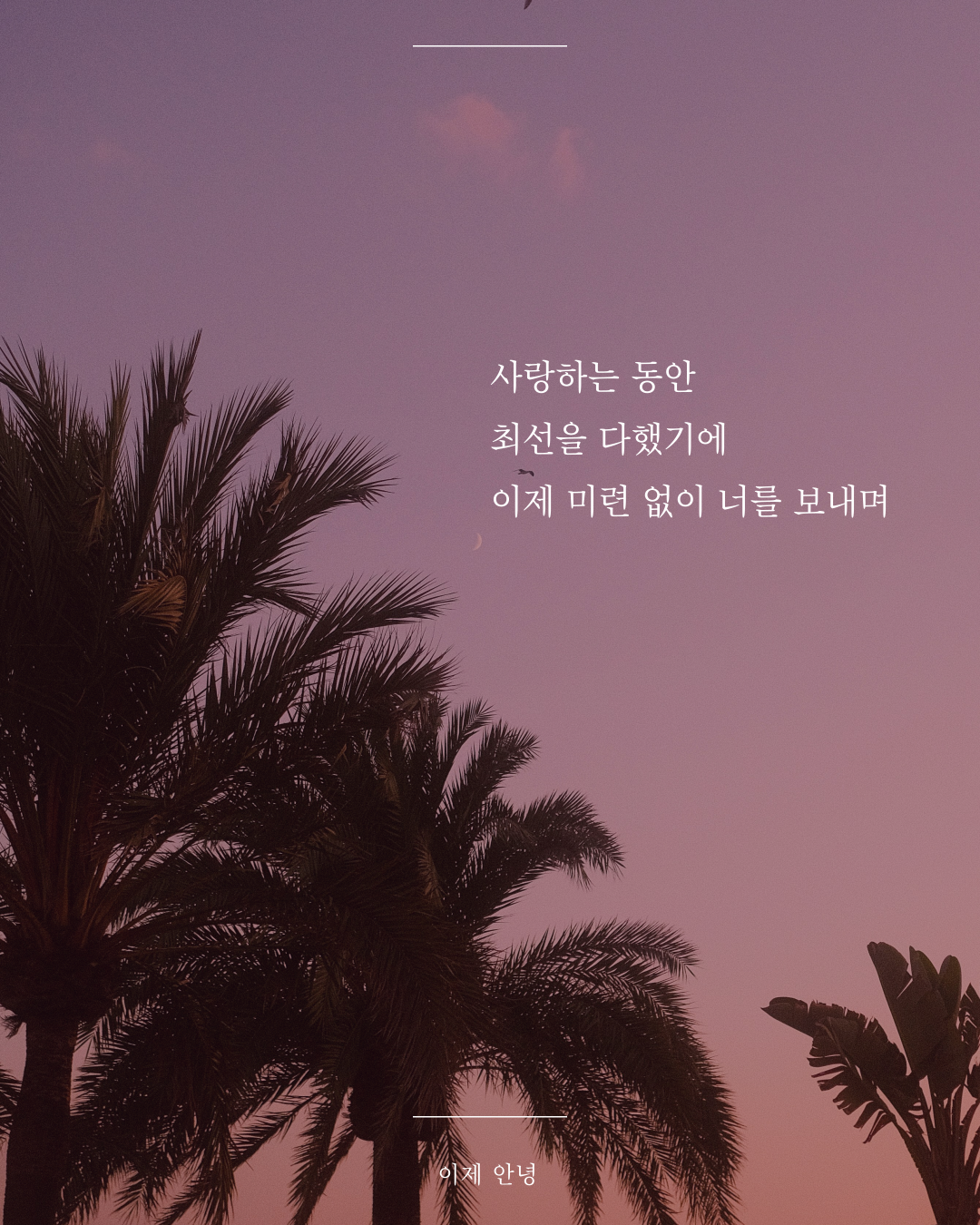 인스타피드_복사본-004 (3).png