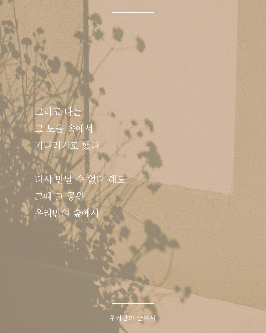 인스타피드_복사본-003 (1).png