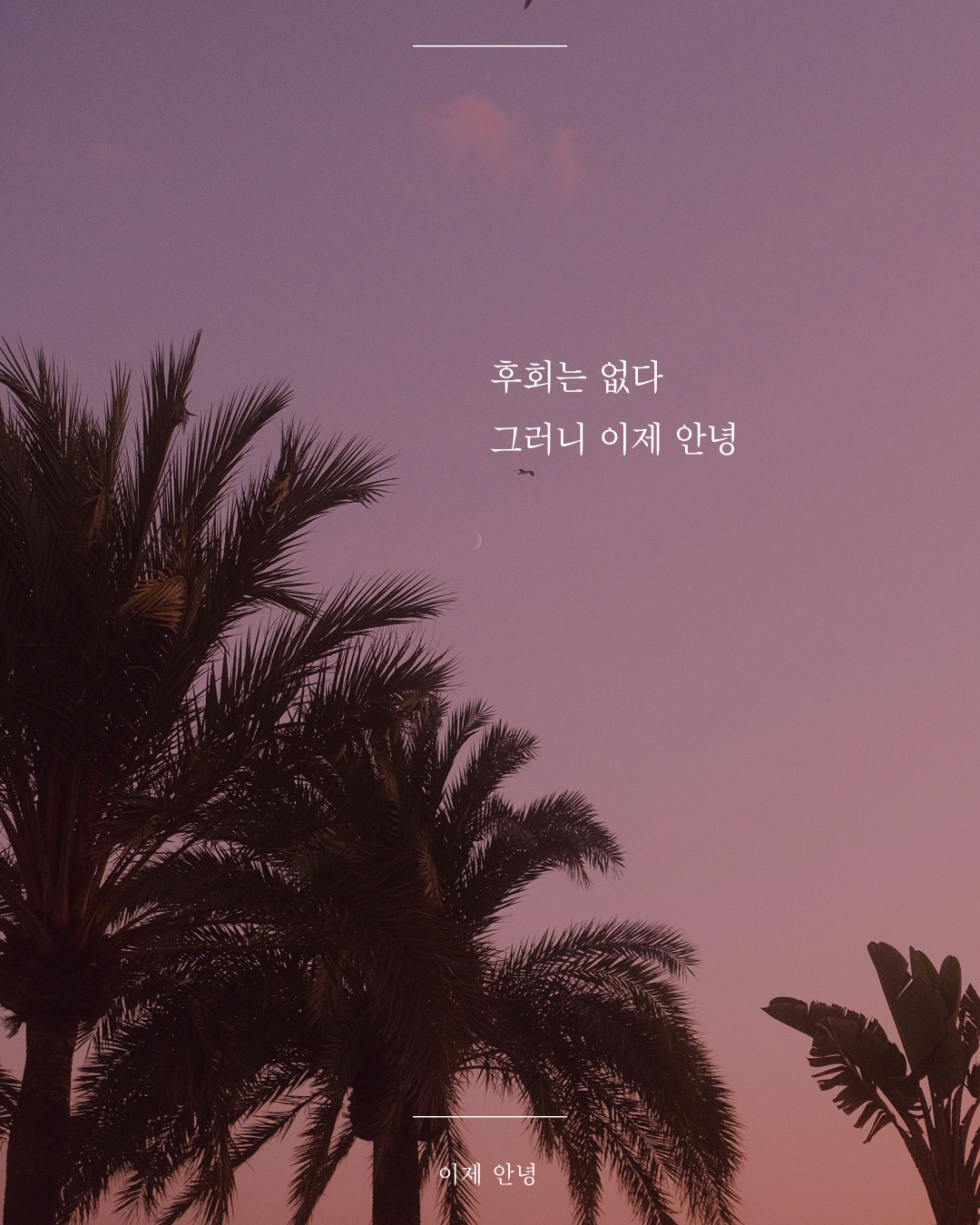 인스타피드_복사본-005 (1).png