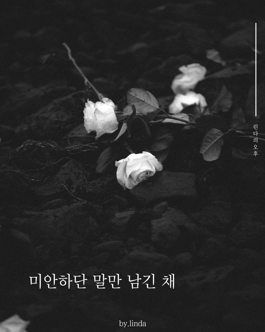 인스타피드_복사본-001 (1).png