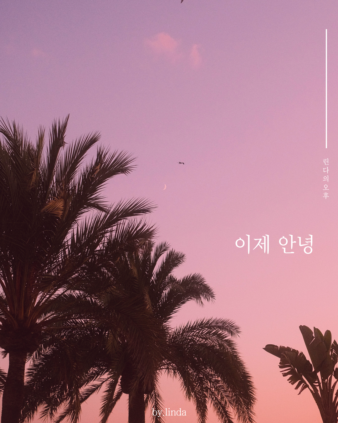 인스타피드_복사본-001 (6).png