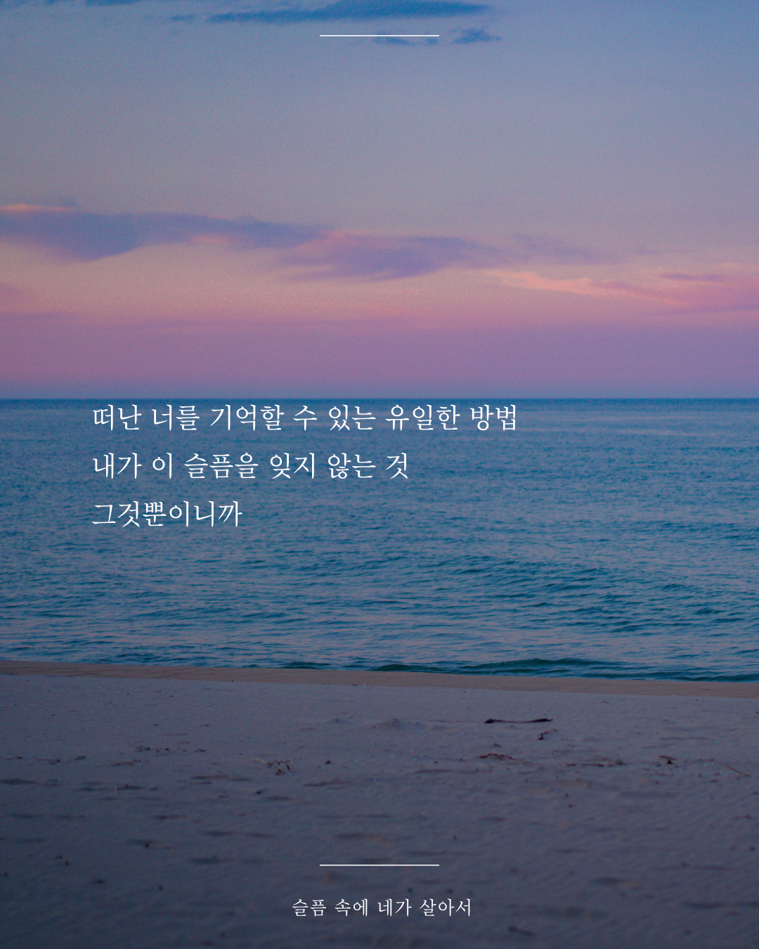 인스타피드_복사본-004 (3).png