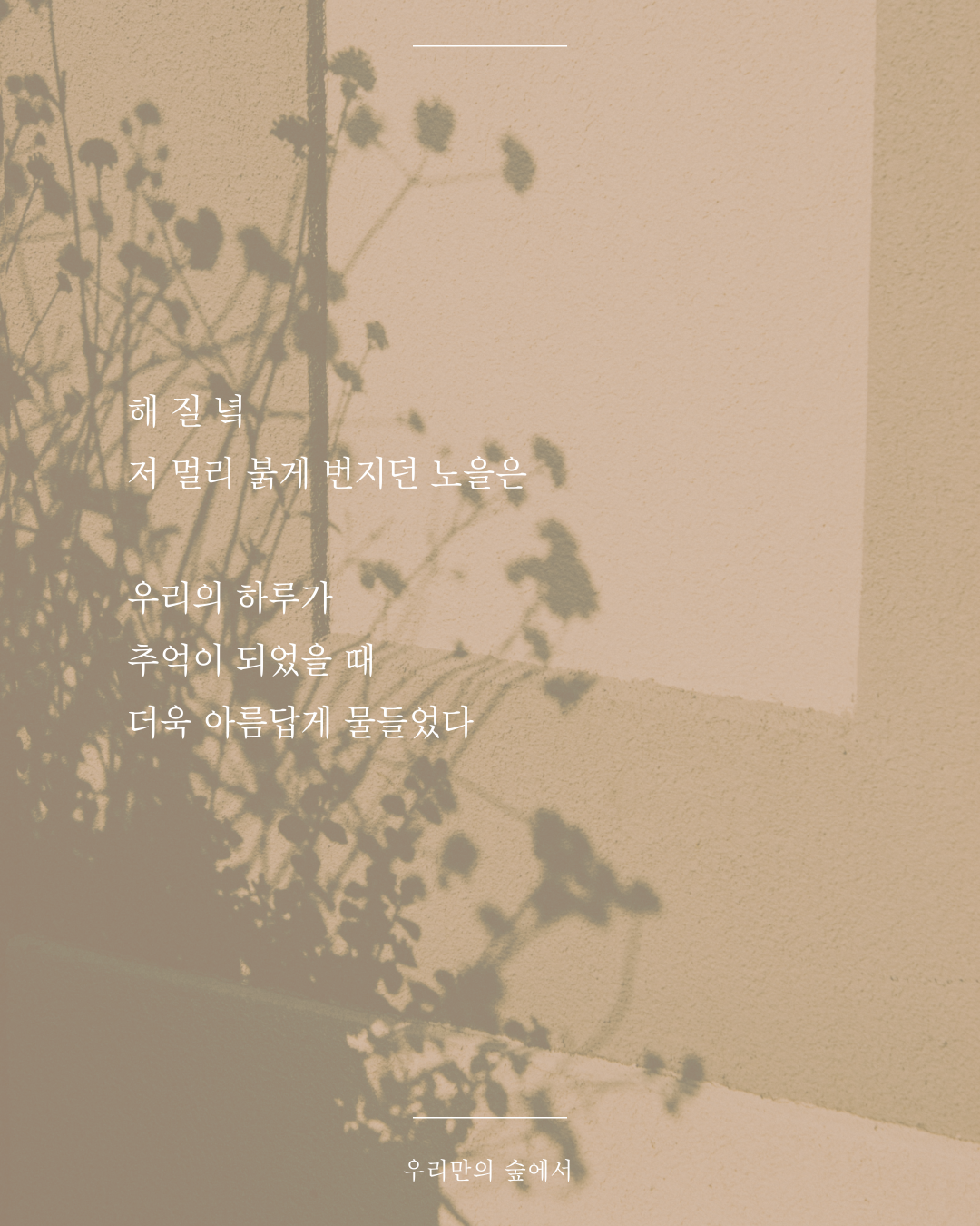 인스타피드_복사본-002 (3).png