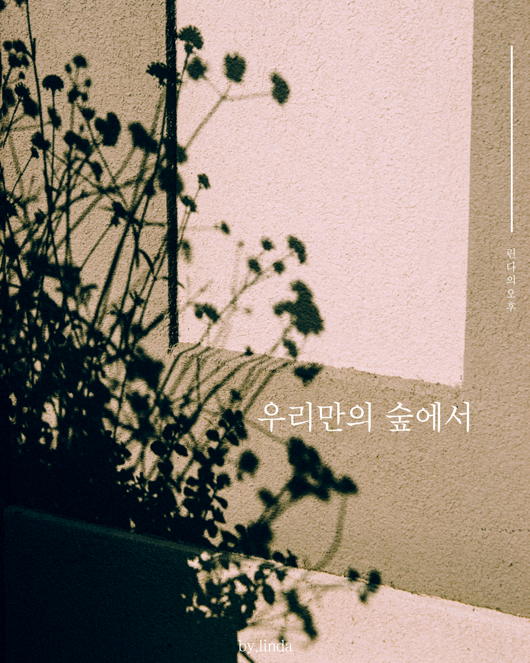 인스타피드_복사본-001 (2).png