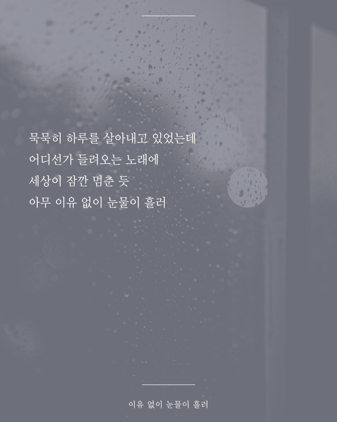 인스타피드_복사본-002 (12).png