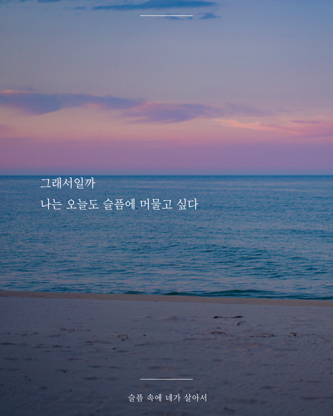 인스타피드_복사본-003 (5).png