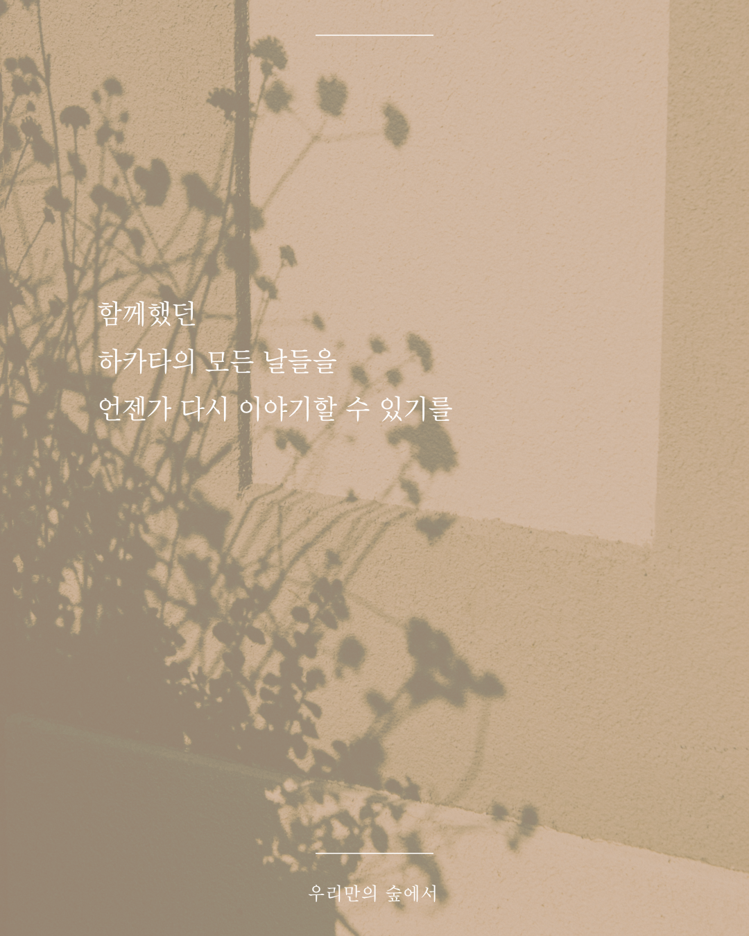 인스타피드_복사본-004 (1).png