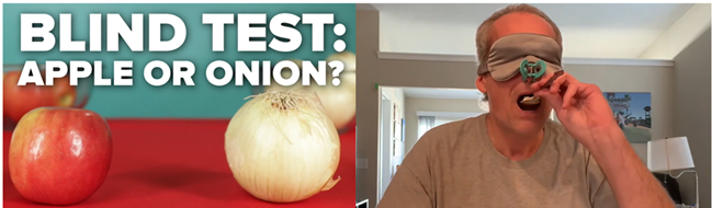 10 양파 사과 테스트.png