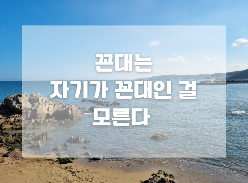 KakaoTalk_20230920_200215645.png